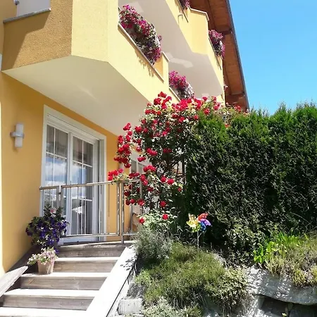 Nr 6 Alpenstern Wagrain