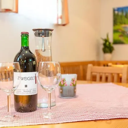 Nr 6 Alpenstern Apartment Wagrain