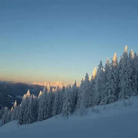 Nr 6 Alpenstern Wagrain