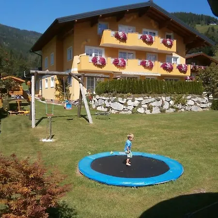 Nr 6 Alpenstern