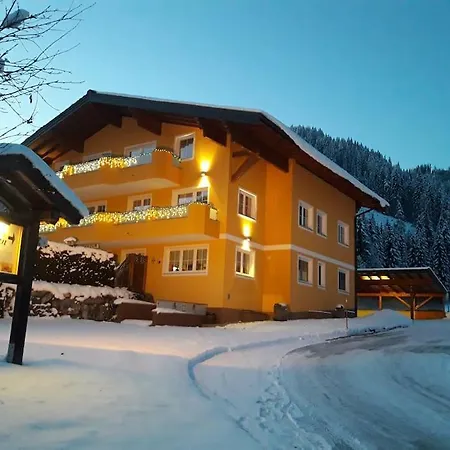 Nr 6 Alpenstern * Wagrain