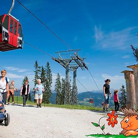 Nr 6 Alpenstern