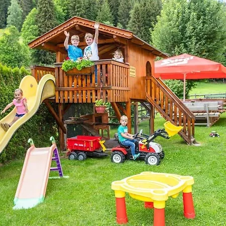 Nr 6 Alpenstern * Wagrain