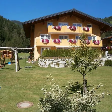 Nr 6 Alpenstern Wagrain