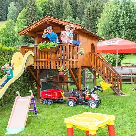 Nr 6 Alpenstern * Wagrain