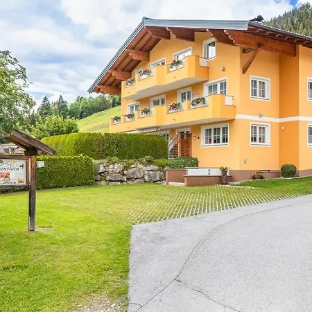 Nr 6 Alpenstern Apartment Wagrain